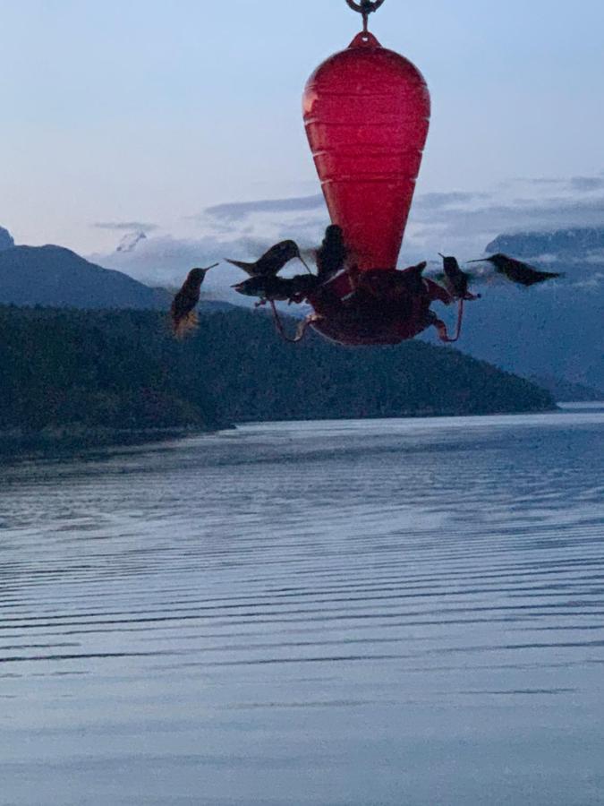 Earls Cove Orca View Bed & Breakfast Egmont Dış mekan fotoğraf